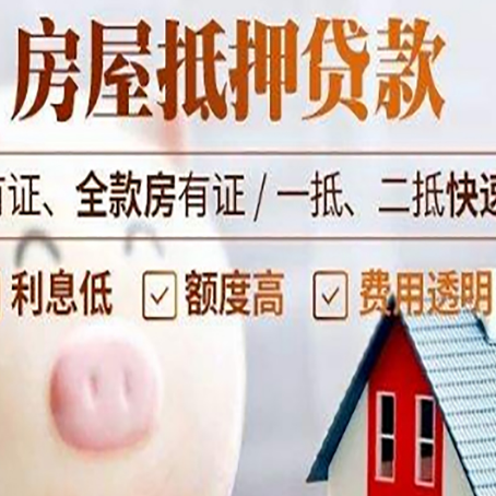 云阳贷款助贷公司新渝启服成立时间久